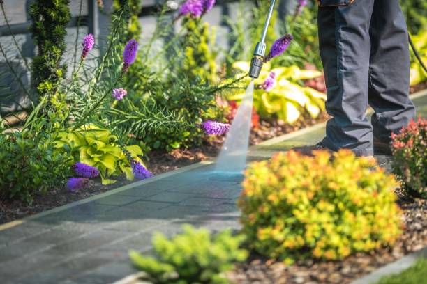 Best Dumpster Area Cleaning  in Athens, TX
